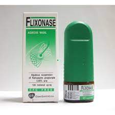 FLIXONASE NASALE SPRAY/ 120Dose