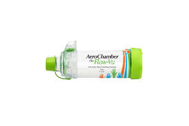 AeroChamber Plus Flow-Vu Anti-Static youth 5+ years