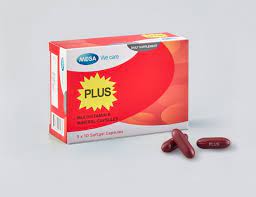 PLUS(multivitamin et mineral)/30tabs