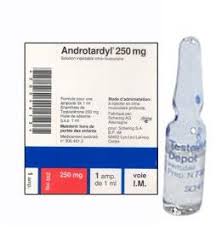 ANDROTARDYL INJ 250MG 1ML